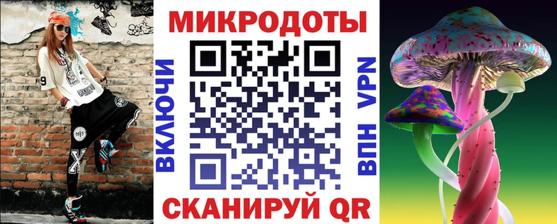 Псилоцибиновые грибы Psilocybe Рудня