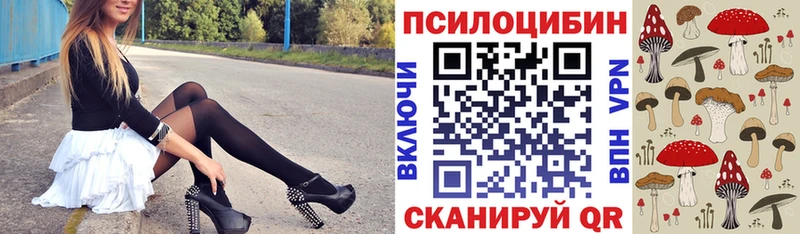 Псилоцибиновые грибы Psilocybe Рудня